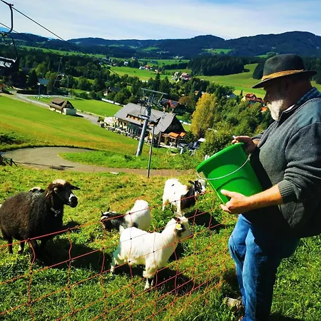 In Gaal By Slopes & Alpine Park, Cleaning Included Feriehus